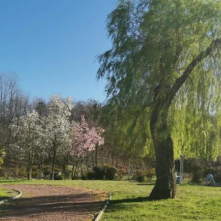 Casa Del Vecchio Faggio Nebbiuno Nebbiuno